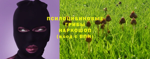 мескалин Абаза