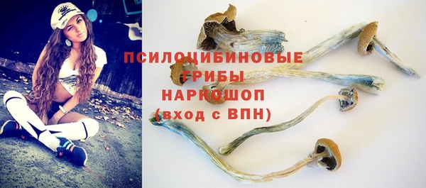 трава Абинск