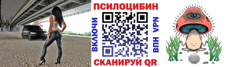 MEGA ссылка  купить наркотик  Грозный  Псилоцибиновые грибы прущие грибы 